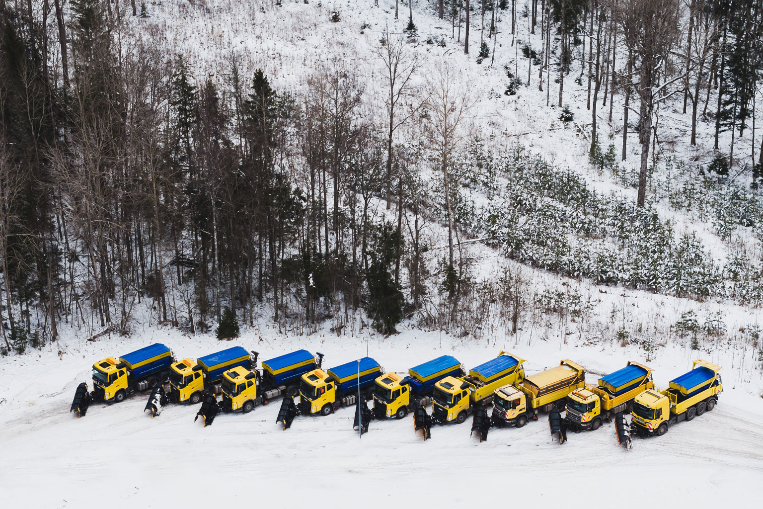 nine trucks in the snow